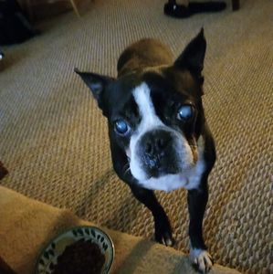 Meet your Posher, Marcella